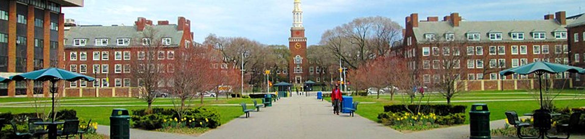 کالج بروکلین (دانشگاه برتر نیویورک برای رشته‌های تصویربرداری و فیلم)