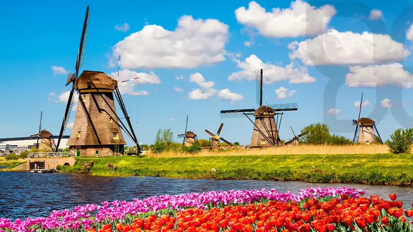 هلند سرزمین گل های رنگارنگ