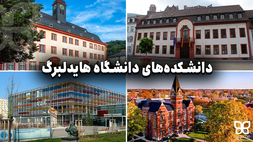 دانشکده های دانشگاه هایدلبرگ